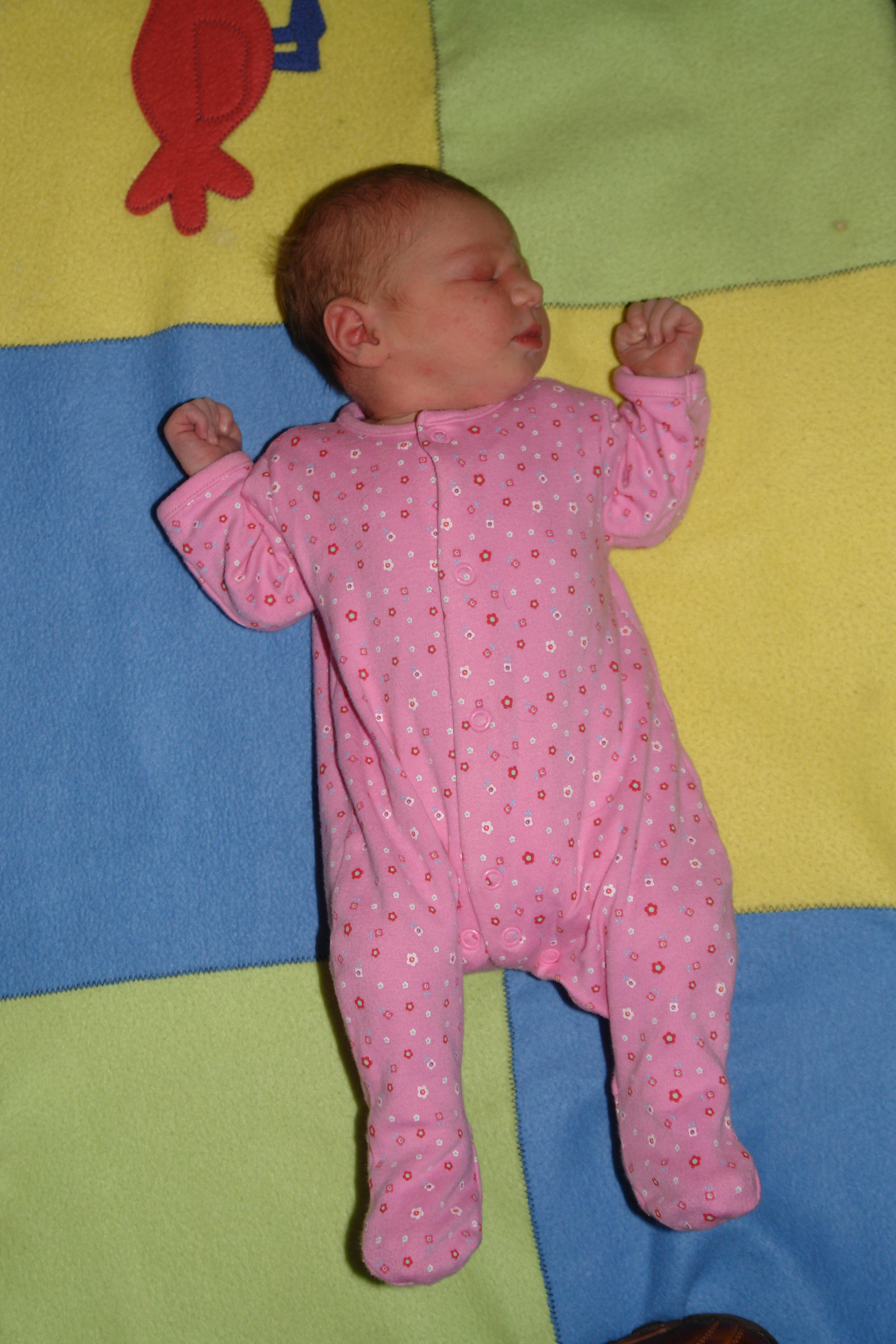 Amelia