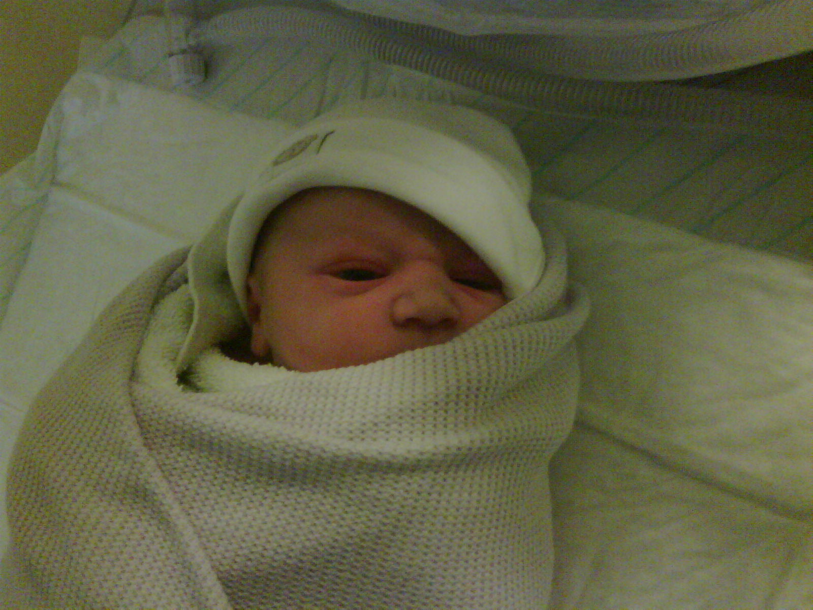 Amelia