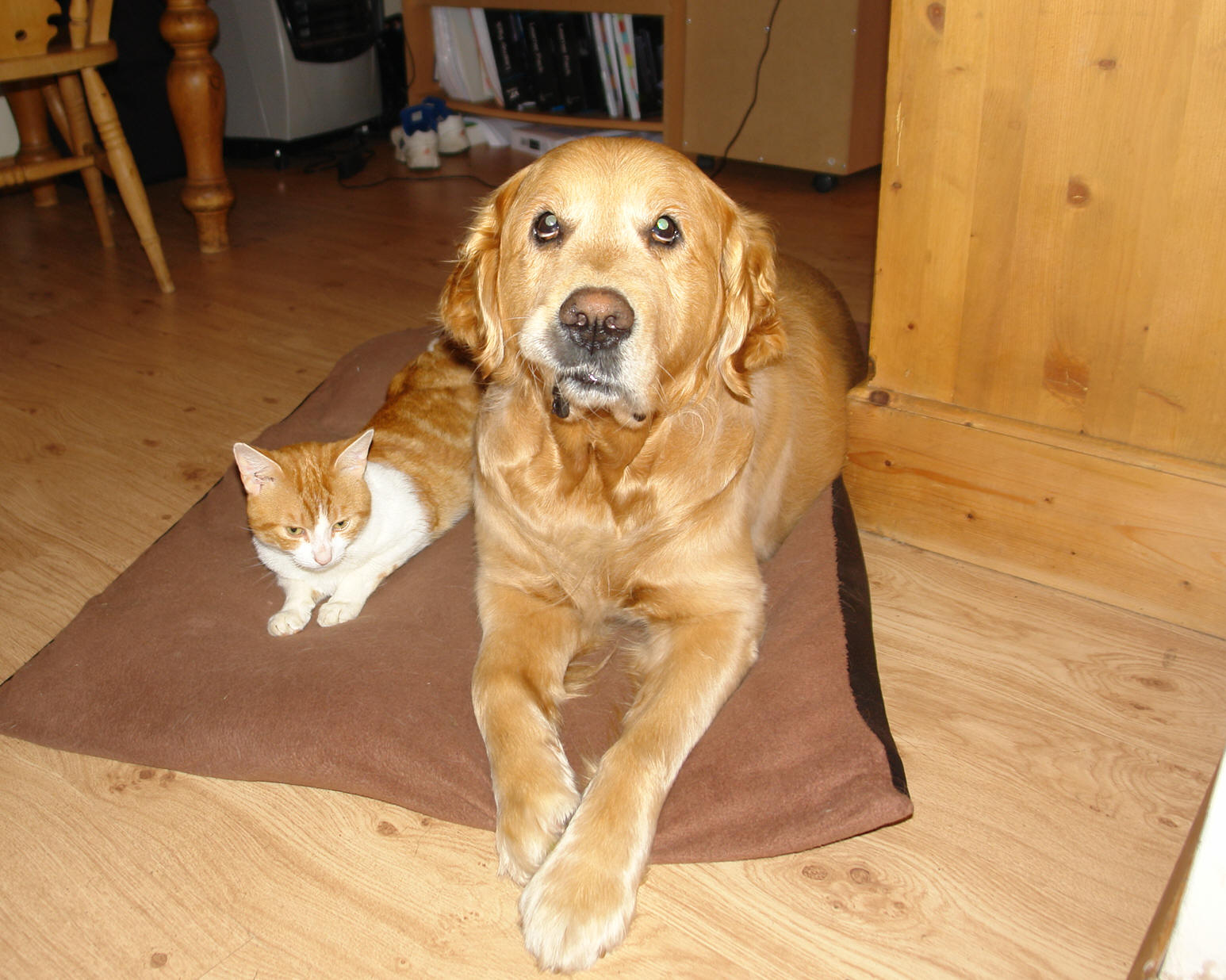 Dougie & Bryn