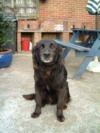 Zimba