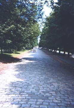 The Entrance Walk