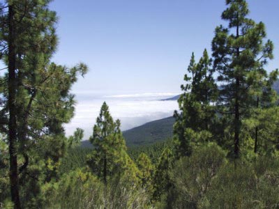 Tenerife Sky Line